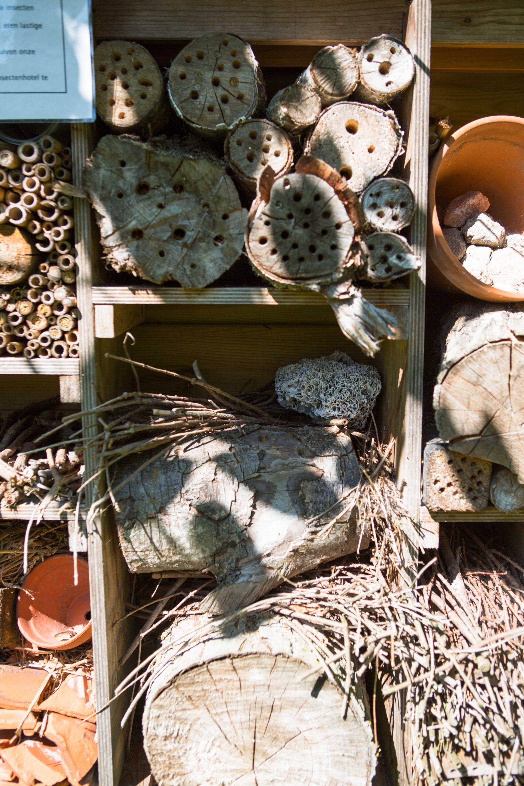 Breda Olga Moestuin 72 dpi-32-min