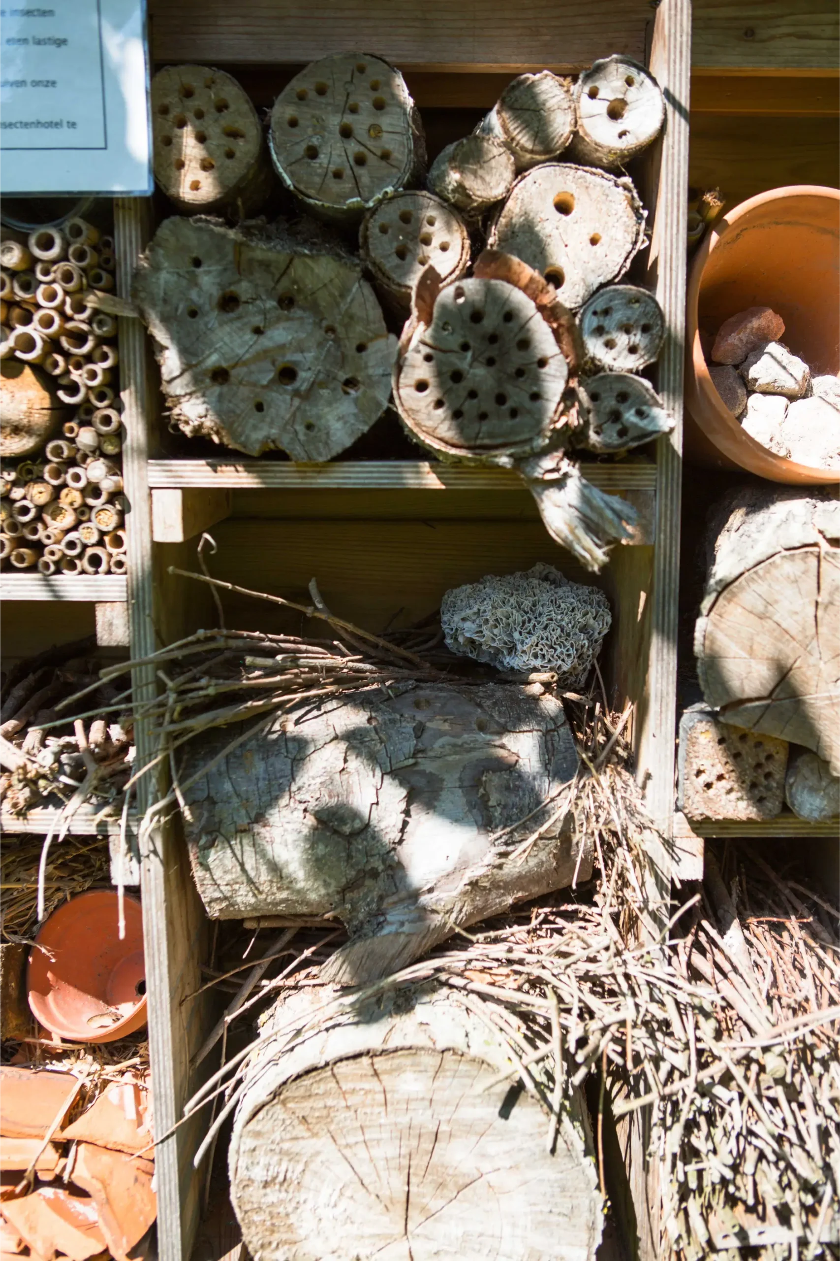 Breda Olga Moestuin 72 dpi-32