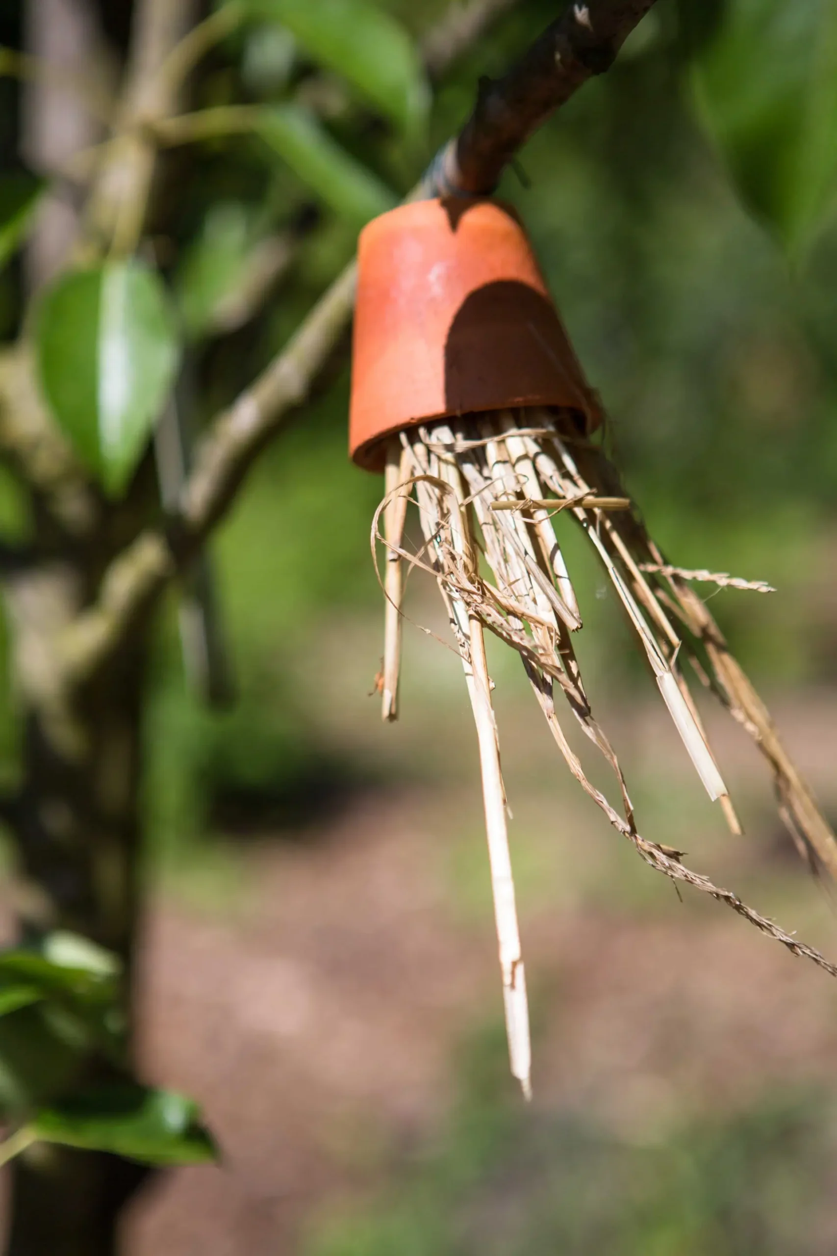 Breda Olga Moestuin 72 dpi-36