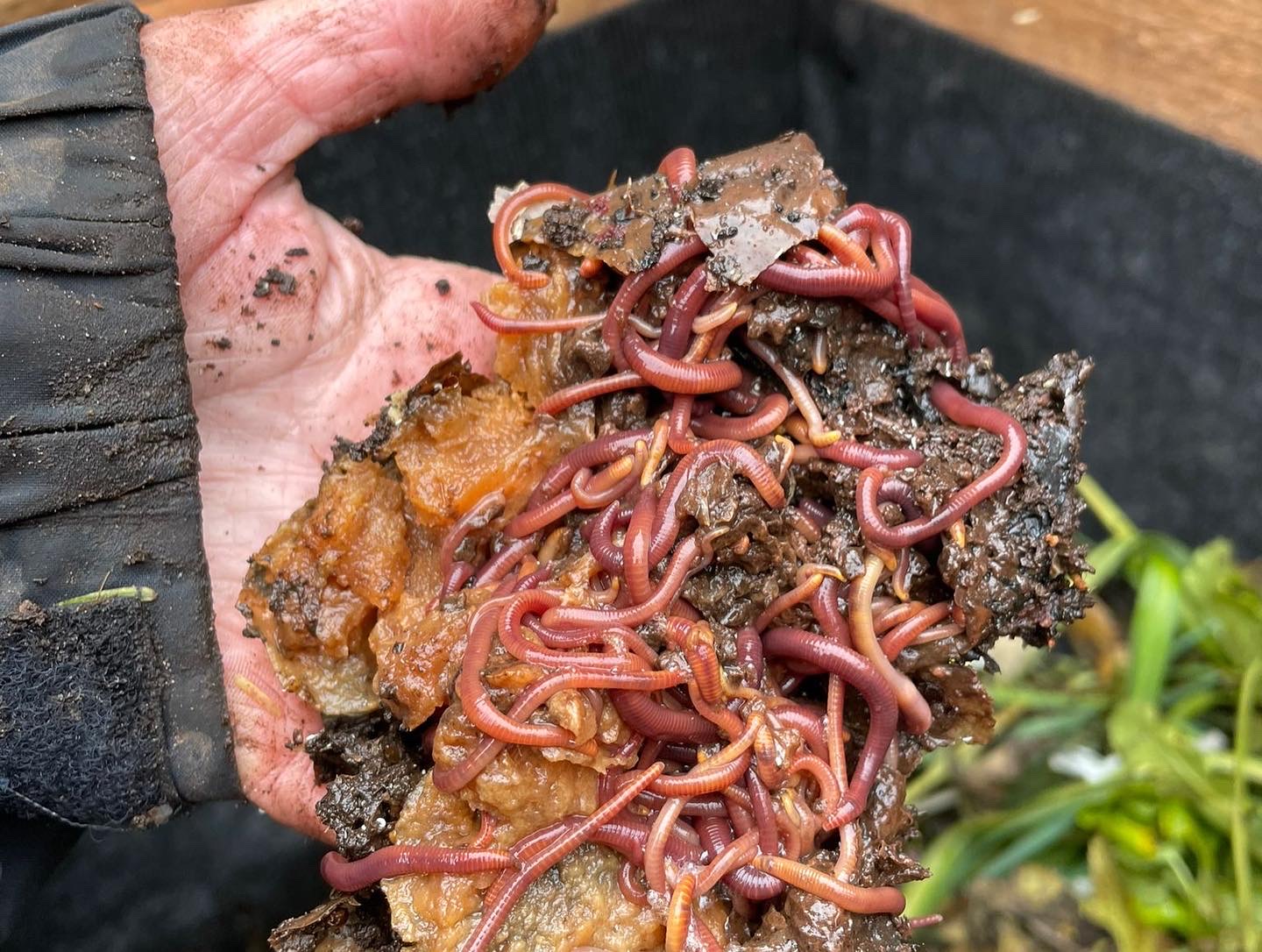 DBEA6AC8-8D5B-4776-B6E4-93703E5BA855