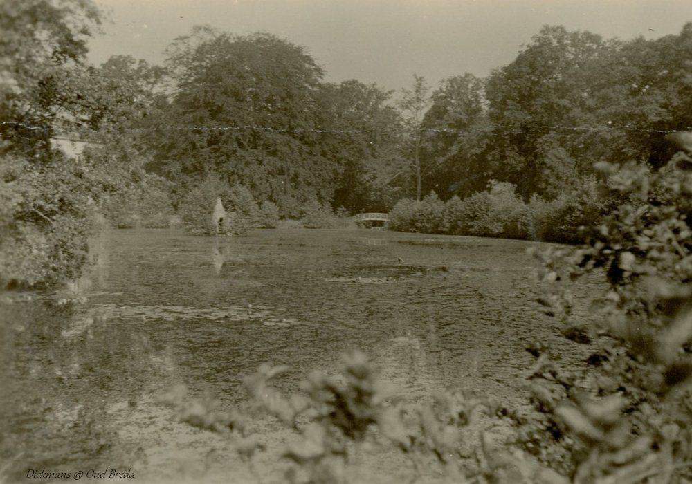 FB_IMG_1654191147208