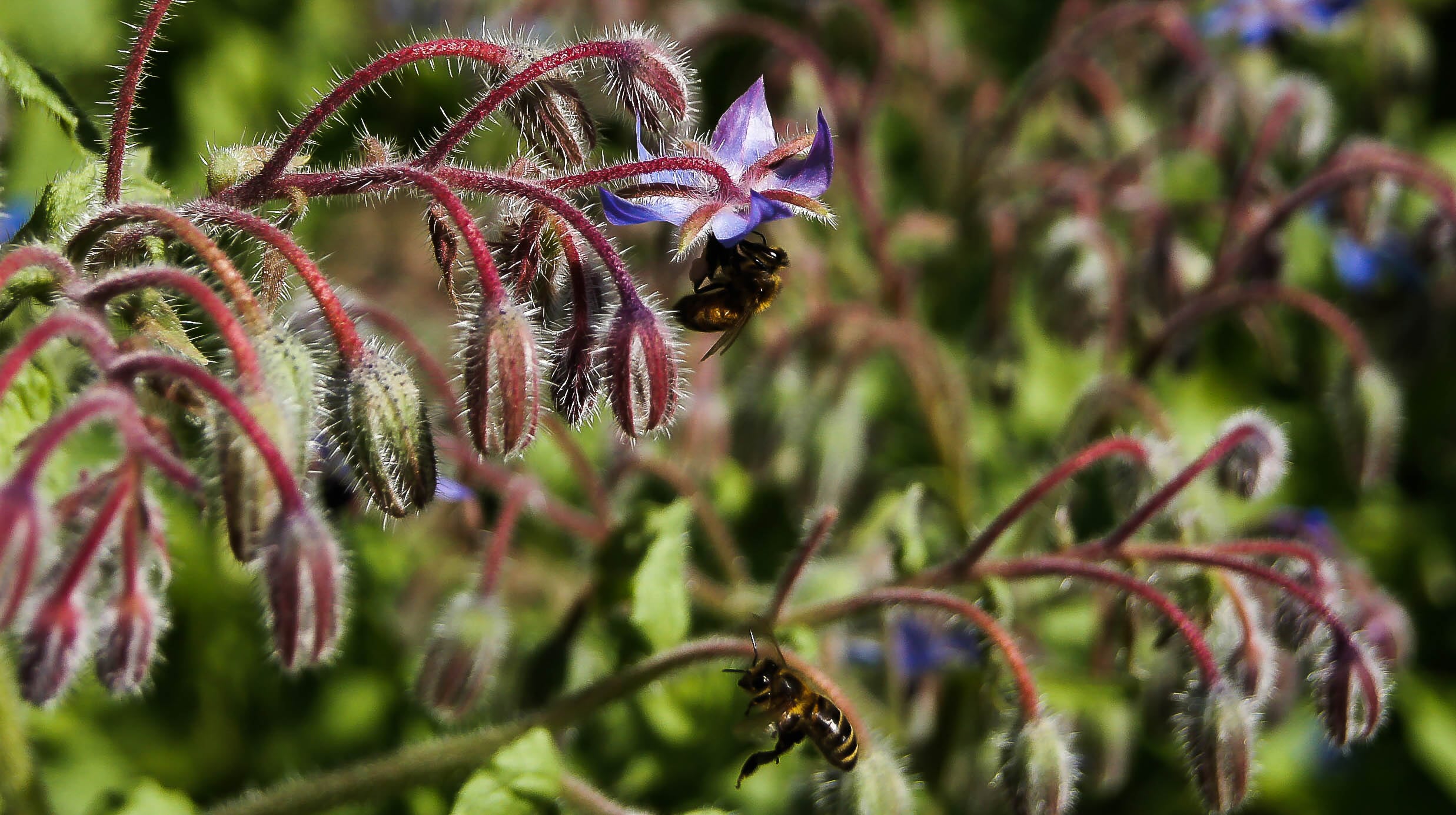 Warmoestuin John Resultaat (55) - Slider-min
