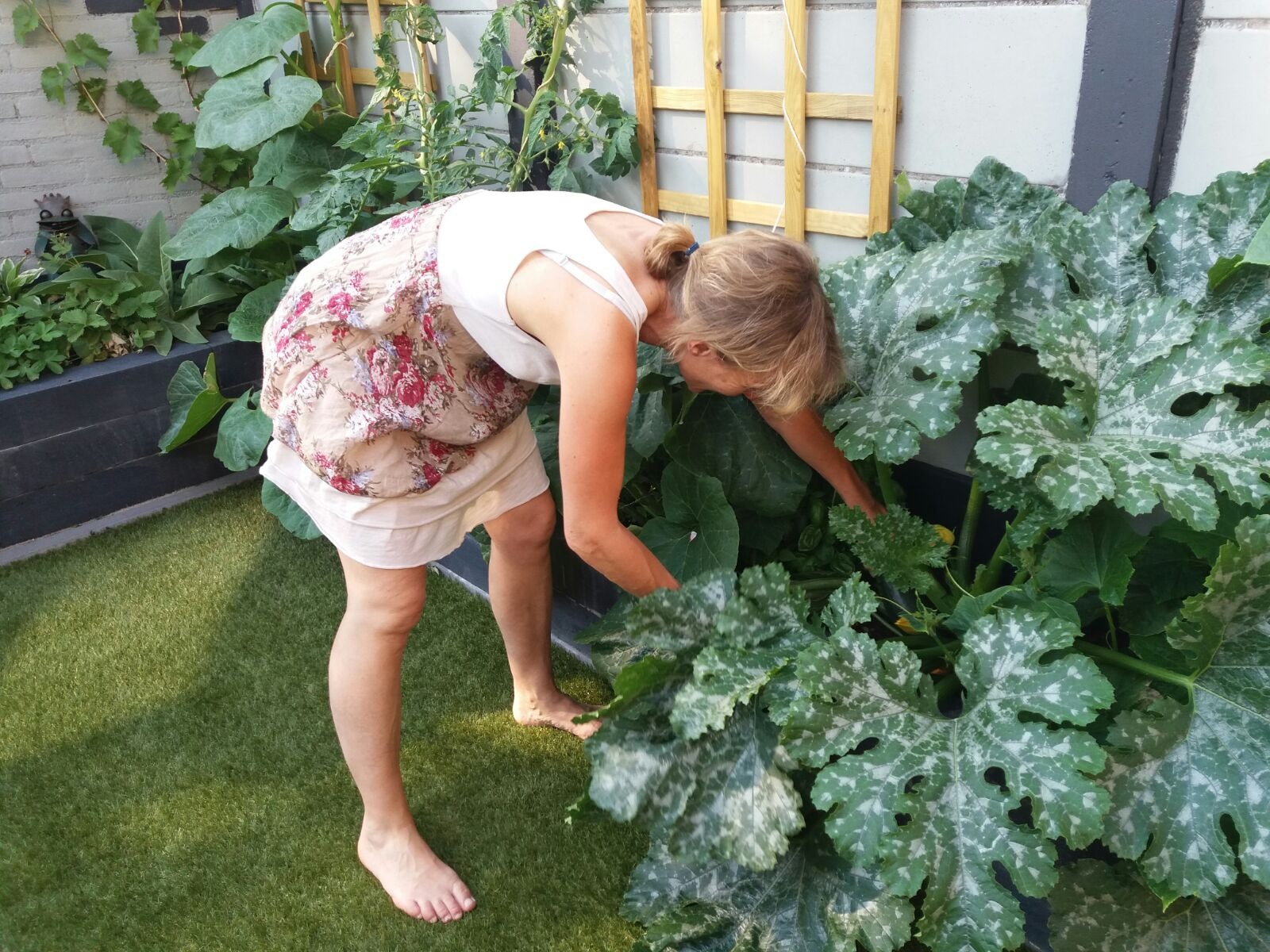 WhatsApp Image 2026-02-24 at 12.40.39