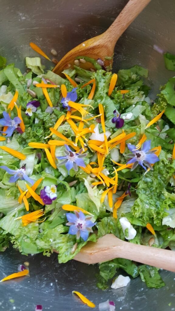 WhatsApp Image 2026-02-24 at 12.40.49