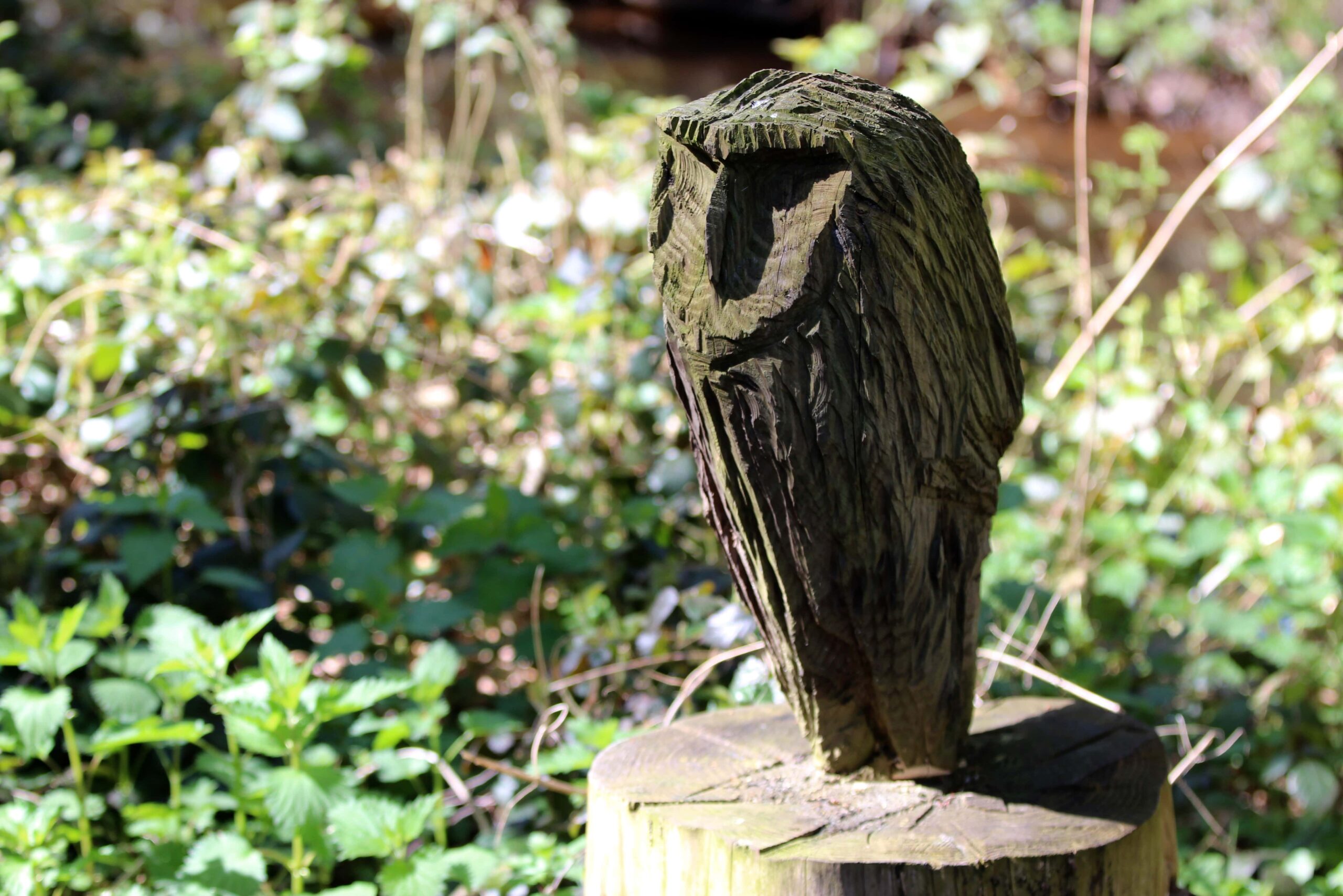 Wolfslaar 20042016 - 29 of 52-min